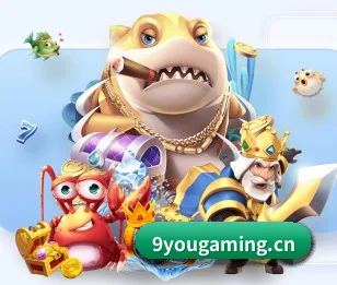 公司成立